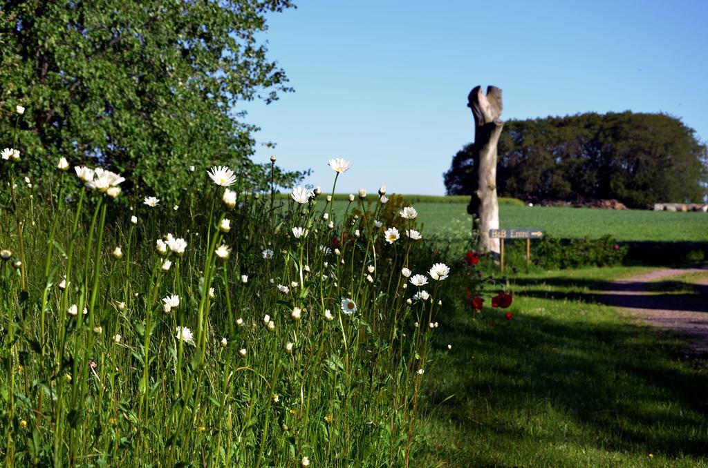 Torsborgs Gard Bed & Breakfast Simrishamn Room photo